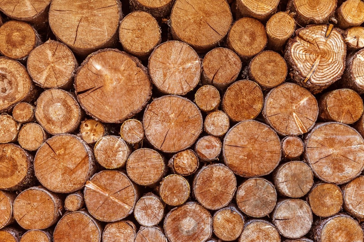 Obwohl als frei von Holz deklariert, enthalten holzfreie Papiere den wertvollen Rohstoff Holz. Bei der Verarbeitung wird einfach das Lignin herausgenommen.
