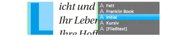 2. Der blaue Initialbuchstabe muss manuell mithilfe des Zeichenformats Initial geändert werden.
