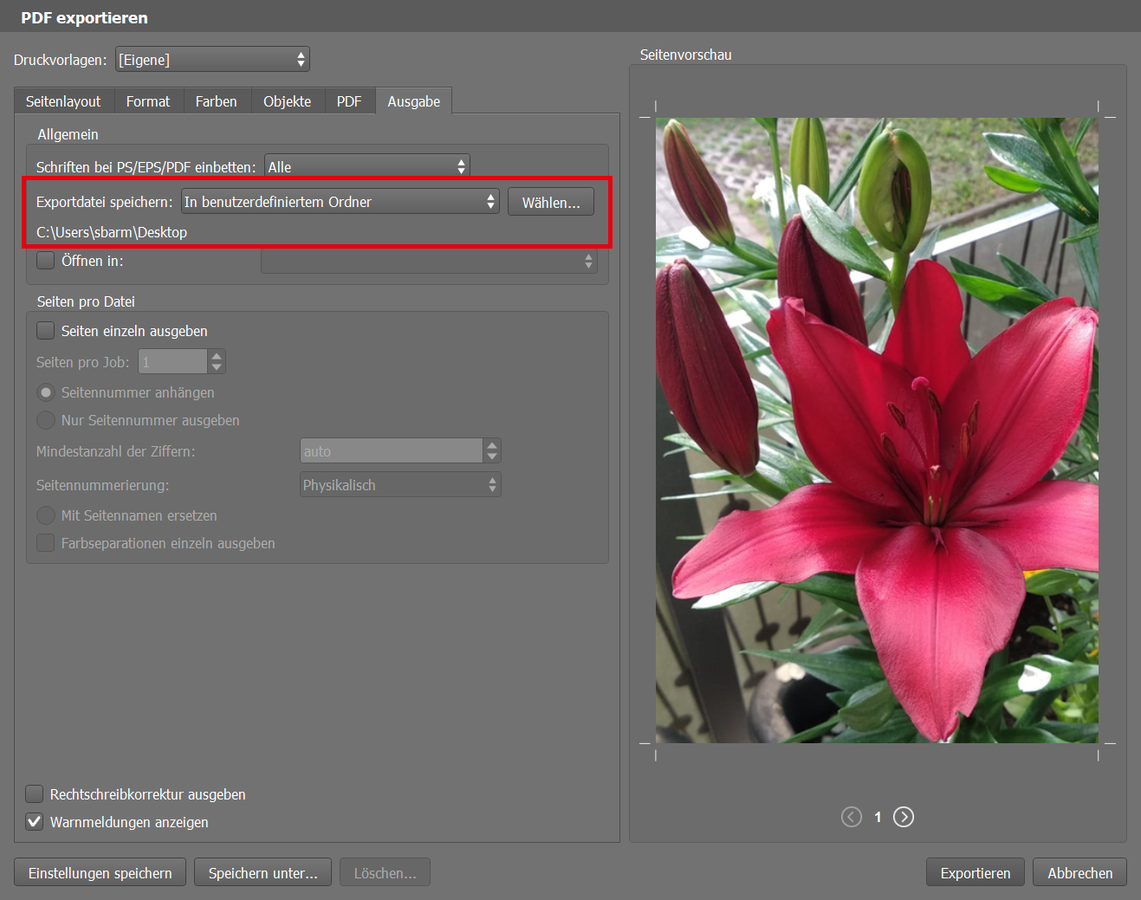 Im Tab Ausgabe angeben wo die PDF-Datei abgespeichert werden soll.  Wir empfehlen, die PDF Datei am gleichen Speicherort wie das Dokument zu speichern.
